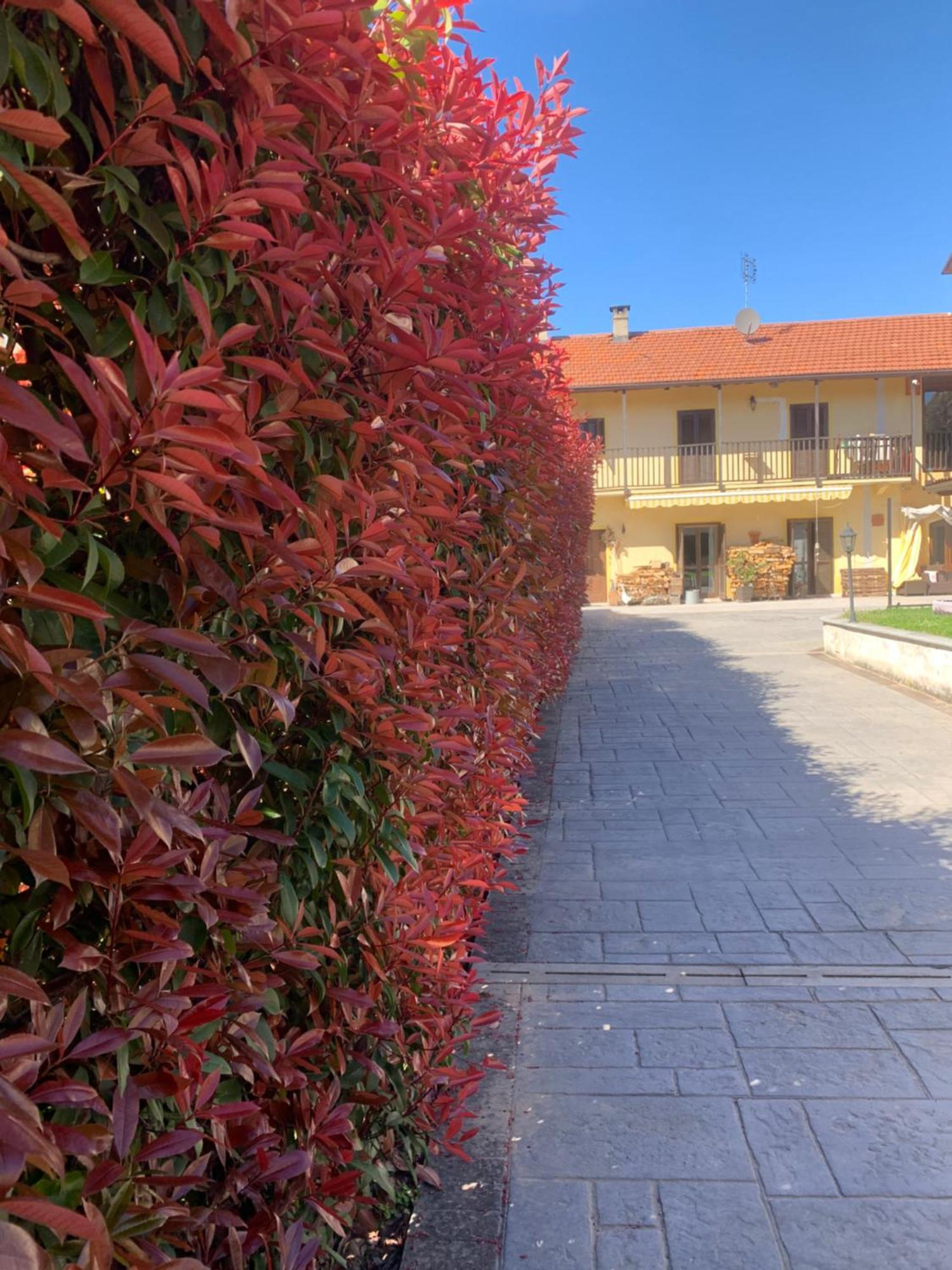 Appartamento Casarte: Monolocale Terra Alpignano Esterno foto
